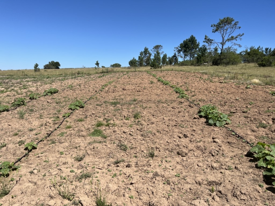 Commercial Property for Sale in Bathurst Rural Eastern Cape